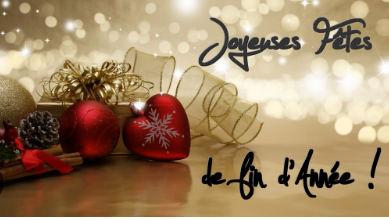 Joyeuses fêtes de fin d année !!