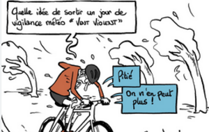 Sortie du Jeudi 13 Novembre